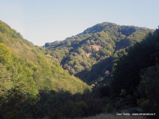 Serra del Salifizio